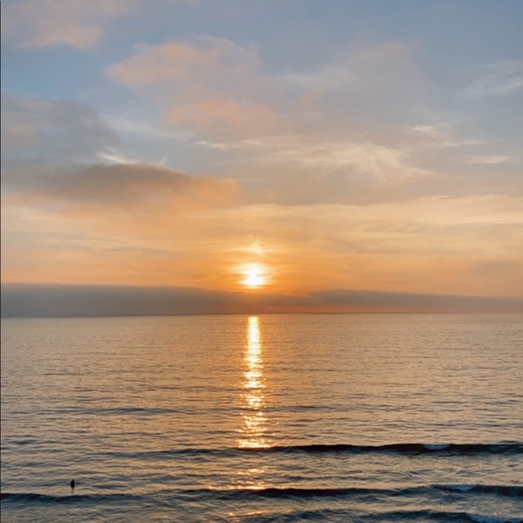 Meet your Posher, Ali - Picture 2 of 12